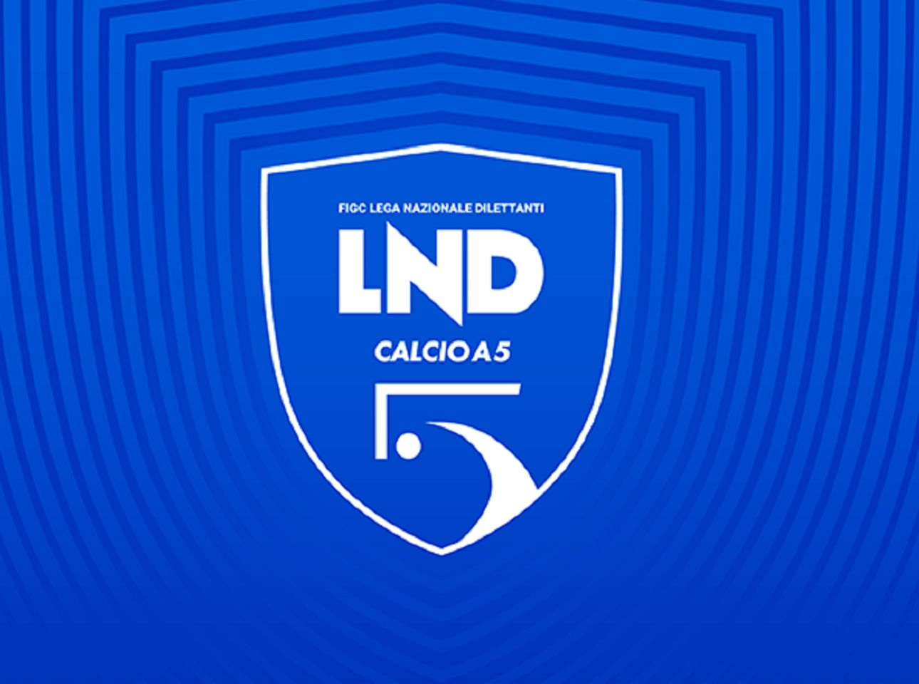 Divisione logo news.jpg